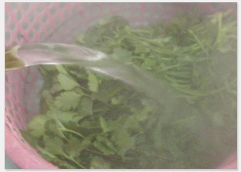 香菜拌百叶的做法(香菜豆腐丝)